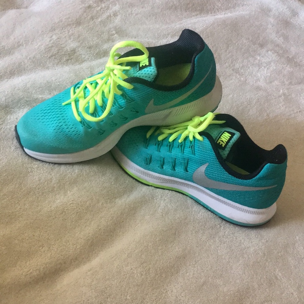 Nike Zoom Pegasus 33